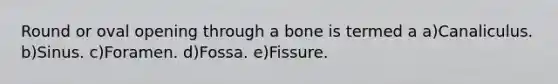 Round or oval opening through a bone is termed a a)Canaliculus. b)Sinus. c)Foramen. d)Fossa. e)Fissure.