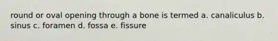 round or oval opening through a bone is termed a. canaliculus b. sinus c. foramen d. fossa e. fissure