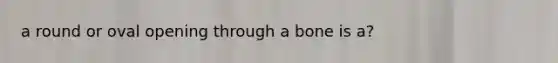 a round or oval opening through a bone is a?