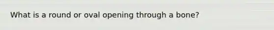 What is a round or oval opening through a bone?