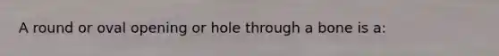 A round or oval opening or hole through a bone is a: