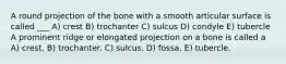 A round projection of the bone with a smooth articular surface is called ___ A) crest B) trochanter C) sulcus D) condyle E) tubercle A prominent ridge or elongated projection on a bone is called a A) crest. B) trochanter. C) sulcus. D) fossa. E) tubercle.