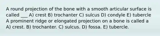 A round projection of the bone with a smooth articular surface is called ___ A) crest B) trochanter C) sulcus D) condyle E) tubercle A prominent ridge or elongated projection on a bone is called a A) crest. B) trochanter. C) sulcus. D) fossa. E) tubercle.