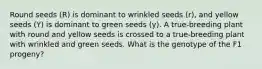 Round seeds (R) is dominant to wrinkled seeds (r), and yellow seeds (Y) is dominant to green seeds (y). A true-breeding plant with round and yellow seeds is crossed to a true-breeding plant with wrinkled and green seeds. What is the genotype of the F1 progeny?