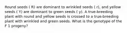 Round seeds ( R) are dominant to wrinkled seeds ( r), and yellow seeds ( Y) are dominant to green seeds ( y). A true-breeding plant with round and yellow seeds is crossed to a true-breeding plant with wrinkled and green seeds. What is the genotype of the F 1 progeny?