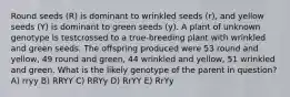 Round seeds (R) is dominant to wrinkled seeds (r), and yellow seeds (Y) is dominant to green seeds (y). A plant of unknown genotype is testcrossed to a true-breeding plant with wrinkled and green seeds. The offspring produced were 53 round and yellow, 49 round and green, 44 wrinkled and yellow, 51 wrinkled and green. What is the likely genotype of the parent in question? A) rryy B) RRYY C) RRYy D) RrYY E) RrYy