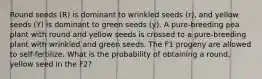 Round seeds (R) is dominant to wrinkled seeds (r), and yellow seeds (Y) is dominant to green seeds (y). A pure-breeding pea plant with round and yellow seeds is crossed to a pure-breeding plant with wrinkled and green seeds. The F1 progeny are allowed to self-fertilize. What is the probability of obtaining a round, yellow seed in the F2?