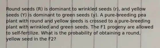 Round seeds (R) is dominant to wrinkled seeds (r), and yellow seeds (Y) is dominant to green seeds (y). A pure-breeding pea plant with round and yellow seeds is crossed to a pure-breeding plant with wrinkled and green seeds. The F1 progeny are allowed to self-fertilize. What is the probability of obtaining a round, yellow seed in the F2?