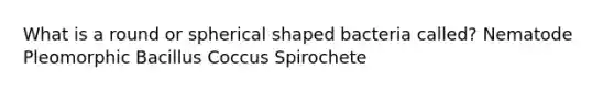 What is a round or spherical shaped bacteria called? Nematode Pleomorphic Bacillus Coccus Spirochete