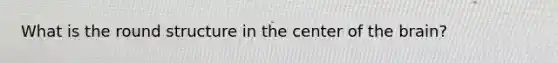 What is the round structure in the center of the brain?