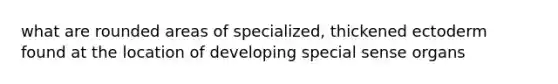 what are rounded areas of specialized, thickened ectoderm found at the location of developing special sense organs