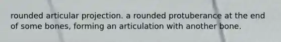 rounded articular projection. a rounded protuberance at the end of some bones, forming an articulation with another bone.