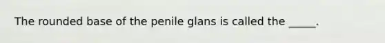 The rounded base of the penile glans is called the _____.