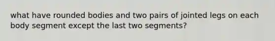 what have rounded bodies and two pairs of jointed legs on each body segment except the last two segments?