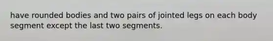 have rounded bodies and two pairs of jointed legs on each body segment except the last two segments.