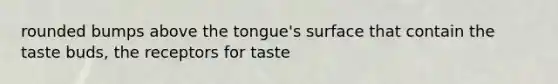 rounded bumps above the tongue's surface that contain the taste buds, the receptors for taste