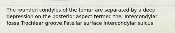 The rounded condyles of the femur are separated by a deep depression on the posterior aspect termed the: Intercondylar fossa Trochlear groove Patellar surface Intercondylar sulcus