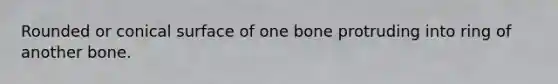 Rounded or conical surface of one bone protruding into ring of another bone.