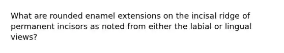 What are rounded enamel extensions on the incisal ridge of permanent incisors as noted from either the labial or lingual views?