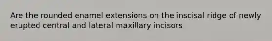 Are the rounded enamel extensions on the inscisal ridge of newly erupted central and lateral maxillary incisors