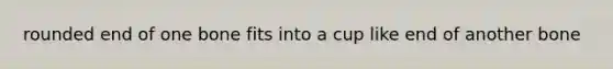 rounded end of one bone fits into a cup like end of another bone