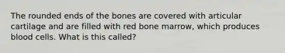 The rounded ends of the bones are covered with articular cartilage and are filled with red bone marrow, which produces blood cells. What is this called?