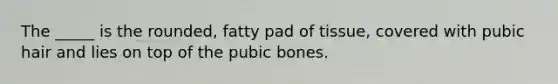 The _____ is the rounded, fatty pad of tissue, covered with pubic hair and lies on top of the pubic bones.