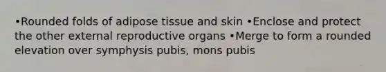 •Rounded folds of adipose tissue and skin •Enclose and protect the other external reproductive organs •Merge to form a rounded elevation over symphysis pubis, mons pubis