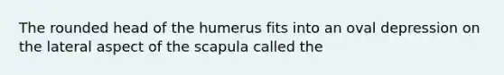 The rounded head of the humerus fits into an oval depression on the lateral aspect of the scapula called the