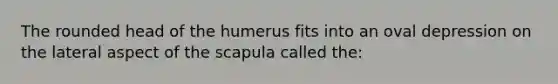 The rounded head of the humerus fits into an oval depression on the lateral aspect of the scapula called the: