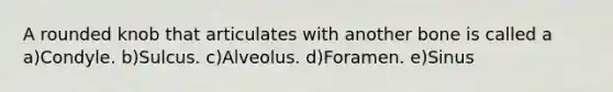 A rounded knob that articulates with another bone is called a a)Condyle. b)Sulcus. c)Alveolus. d)Foramen. e)Sinus