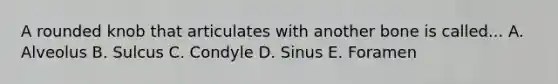 A rounded knob that articulates with another bone is called... A. Alveolus B. Sulcus C. Condyle D. Sinus E. Foramen