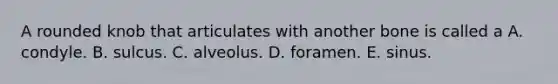 A rounded knob that articulates with another bone is called a A. condyle. B. sulcus. C. alveolus. D. foramen. E. sinus.