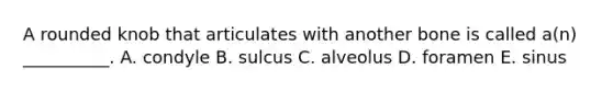 A rounded knob that articulates with another bone is called a(n) __________. A. condyle B. sulcus C. alveolus D. foramen E. sinus