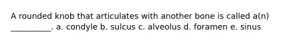 A rounded knob that articulates with another bone is called a(n) __________. a. condyle b. sulcus c. alveolus d. foramen e. sinus