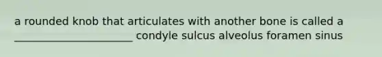 a rounded knob that articulates with another bone is called a ______________________ condyle sulcus alveolus foramen sinus