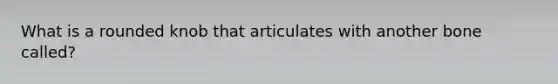 What is a rounded knob that articulates with another bone called?