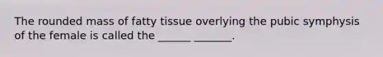 The rounded mass of fatty tissue overlying the pubic symphysis of the female is called the ______ _______.