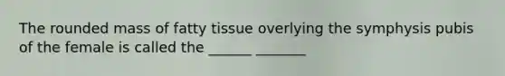 The rounded mass of fatty tissue overlying the symphysis pubis of the female is called the ______ _______