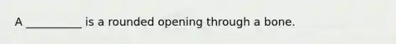 A __________ is a rounded opening through a bone.