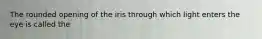 The rounded opening of the iris through which light enters the eye is called the