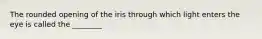 The rounded opening of the iris through which light enters the eye is called the ________