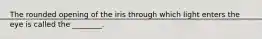 The rounded opening of the iris through which light enters the eye is called the ________.