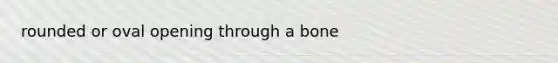 rounded or oval opening through a bone