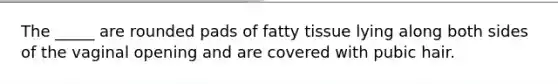 The _____ are rounded pads of fatty tissue lying along both sides of the vaginal opening and are covered with pubic hair.