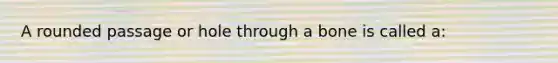 A rounded passage or hole through a bone is called a: