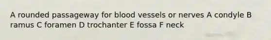 A rounded passageway for <a href='https://www.questionai.com/knowledge/kZJ3mNKN7P-blood-vessels' class='anchor-knowledge'>blood vessels</a> or nerves A condyle B ramus C foramen D trochanter E fossa F neck