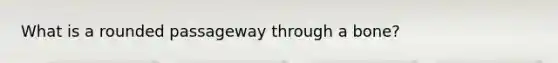 What is a rounded passageway through a bone?