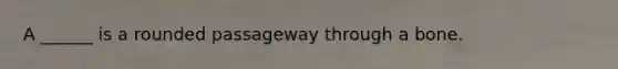 A ______ is a rounded passageway through a bone.