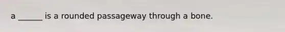 a ______ is a rounded passageway through a bone.